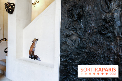 Incursions sauvages, nos photos