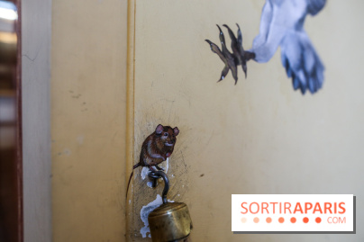 Incursions sauvages, nos photos