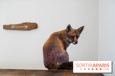 Incursions sauvages, nos photos