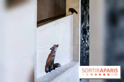 Incursions sauvages, nos photos