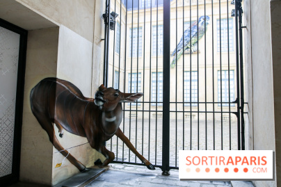 Incursions sauvages, nos photos