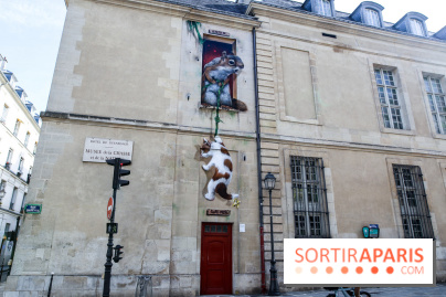 Incursions sauvages, nos photos