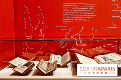 L’aventure Champollion, l'exposition à la BnF dans les secrets des hiéroglyphes