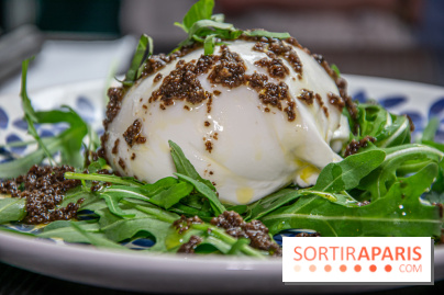 Spezia Piadina, le restaurant de piadine du 8e arrondissement de Paris