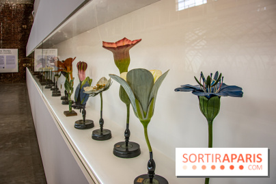 Saison Réclamer la terre au Palais de Tokyo - nos photos