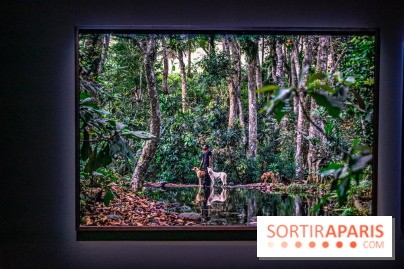 Saison Réclamer la terre au Palais de Tokyo - nos photos