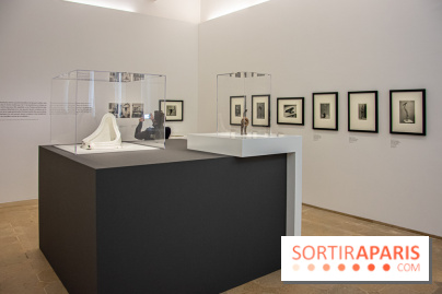 Maya Ruiz-Picasso, nos photos de l'exposition au Musée Picasso