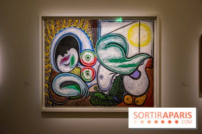 Maya Ruiz-Picasso, nos photos de l'exposition au Musée Picasso