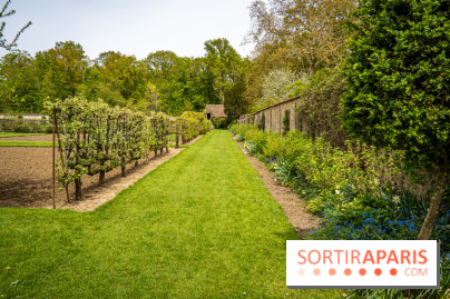 Le Château de Saint-Jean de Beauregard et son Jardin remarquable