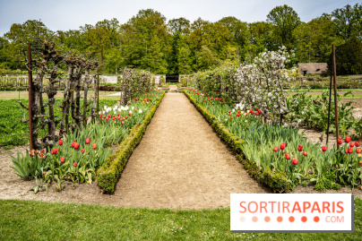 Le Château de Saint-Jean de Beauregard et son Jardin remarquable