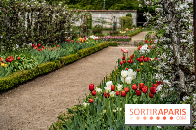 Le Château de Saint-Jean de Beauregard et son Jardin remarquable