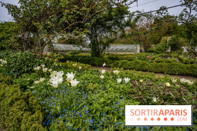 Le Château de Saint-Jean de Beauregard et son Jardin remarquable