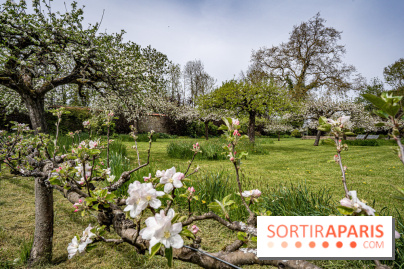 Le Château de Saint-Jean de Beauregard et son Jardin remarquable