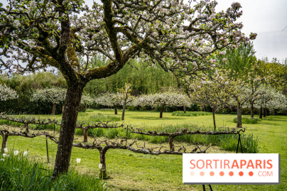 Le Château de Saint-Jean de Beauregard et son Jardin remarquable