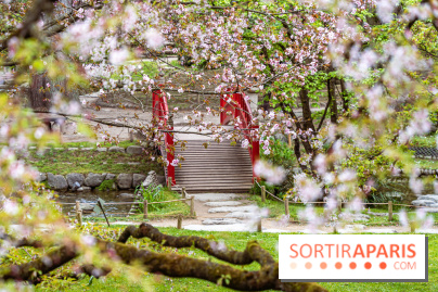 Les jardins du Musée Albert Kahn, nos photos  -  A7C8879 HDR