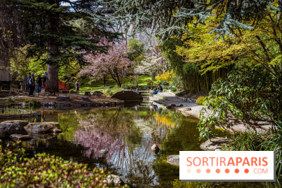 Les jardins du Musée Albert Kahn, nos photos  -  A7C8816