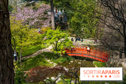 Les jardins du Musée Albert Kahn, nos photos  -  A7C8855 HDR
