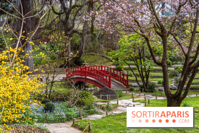 Les jardins du Musée Albert Kahn, nos photos  -  A7C8921 HDR