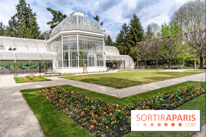 Les jardins du Musée Albert Kahn, nos photos