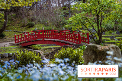 Les jardins du Musée Albert Kahn, nos photos  -  A7C8984