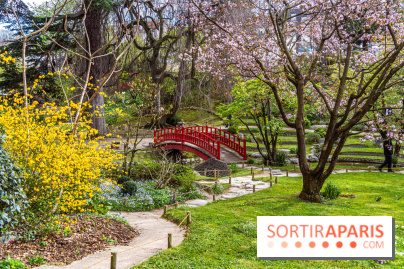 Les jardins du Musée Albert Kahn, nos photos