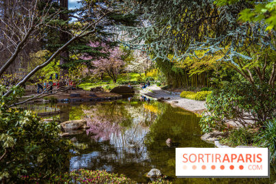 Les jardins du Musée Albert Kahn, nos photos
