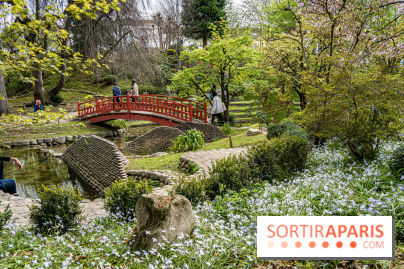 Les jardins du Musée Albert Kahn, nos photos  -  A7C8944