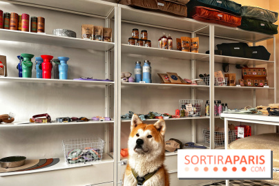 Barkers+Brothers, le concept store canin pour chouchouter son chien à Montmartre