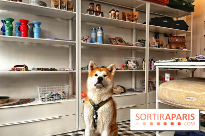 Barkers+Brothers, le concept store canin pour chouchouter son chien à Montmartre