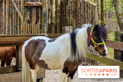 Aventure Floreval, l'accrobranche canon aux portes de Paris