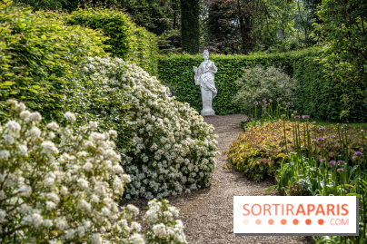 Photos : Château de Cheverny