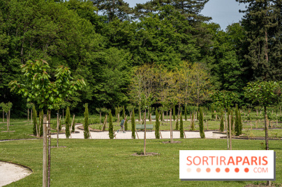 Photos : Château de Cheverny