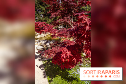 Le Jardin Japonais d'Ichikawa à Issy-les-Moulineaux