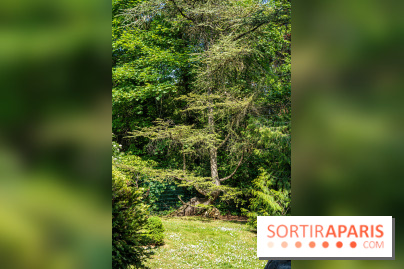 Le jardin japonais du Parc de Boulogne Edmond de Rothschild