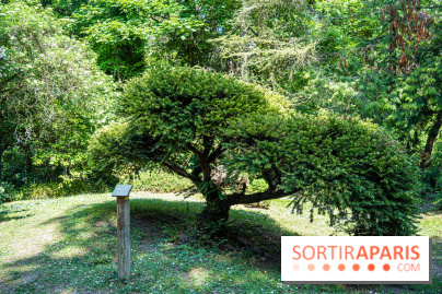 Le jardin japonais du Parc de Boulogne Edmond de Rothschild