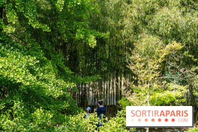 Le jardin japonais du Parc de Boulogne Edmond de Rothschild