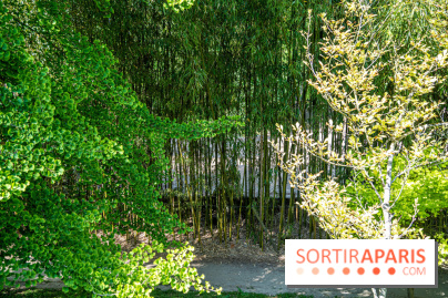 Le jardin japonais du Parc de Boulogne Edmond de Rothschild