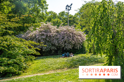 Le jardin japonais du Parc de Boulogne Edmond de Rothschild