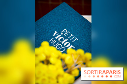 Le Petit Toit, le rooftop secret du restaurant Le Petit Victor Hugo