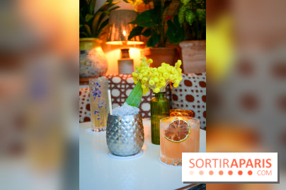 Le Petit Toit, le rooftop secret du restaurant Le Petit Victor Hugo