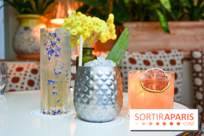 Le Petit Toit, le rooftop secret du restaurant Le Petit Victor Hugo