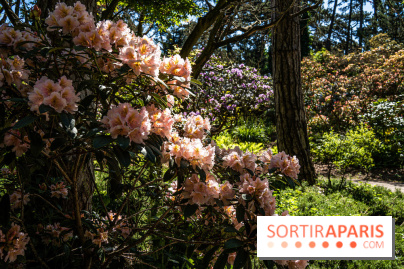 Le Parc Floral en photos 