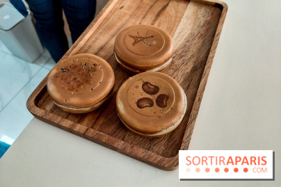 Ciao roue à Paris, nos photos