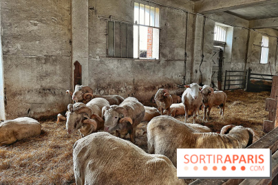 Le Château de Rambouillet et sa Bergerie nationale, un domaine d'exception en Ile-de-France