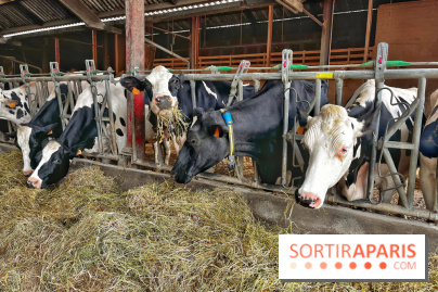 Le Château de Rambouillet et sa Bergerie nationale, un domaine d'exception en Ile-de-France