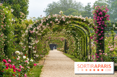 Photos : La Roseraie du val-de-Marne