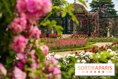Photos : La Roseraie du val-de-Marne