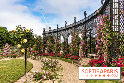 Photos : La Roseraie du val-de-Marne