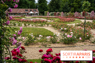 Photos : La Roseraie du val-de-Marne