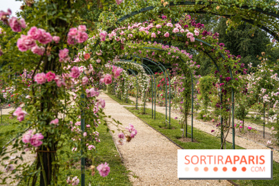 Photos : La Roseraie du val-de-Marne